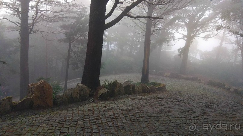 Самостоятельно по Португалии и Испании. Ч.2 - Португалия : Синтра и Мыс Рока.