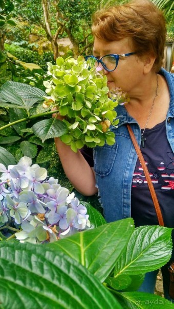 Самостоятельно по Португалии и Испании. Ч.2 - Португалия : Синтра и Мыс Рока.