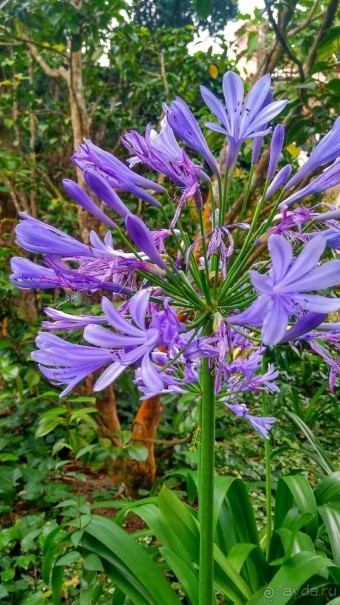 Самостоятельно по Португалии и Испании. Ч.2 - Португалия : Синтра и Мыс Рока.