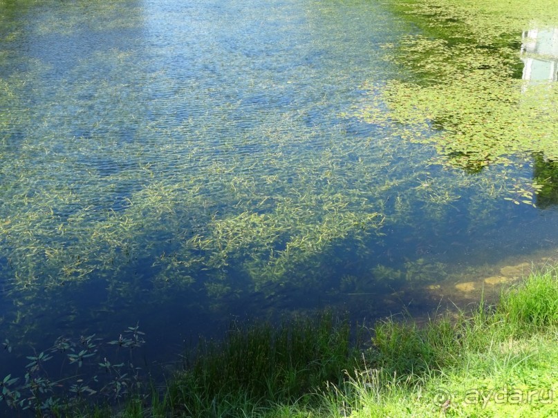 Жемчужина Европы - Усадьба Кусково 