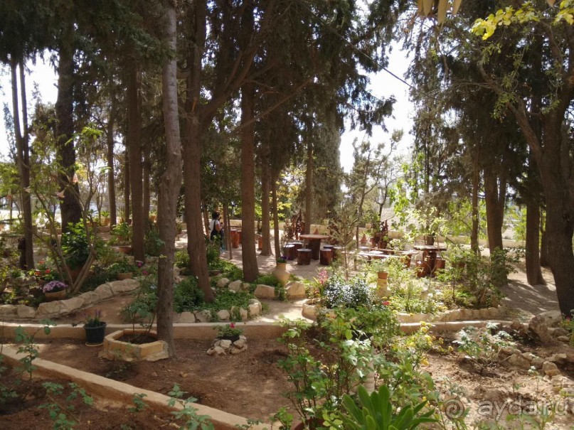 Шалом, Израиль! Часть 5. Вифлеем + Иерусалим (Русское Подворье).