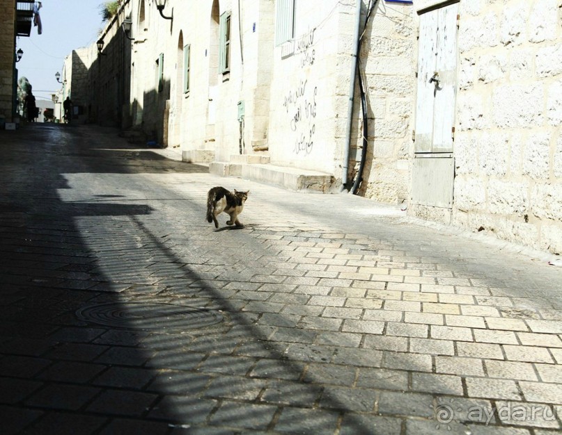 Шалом, Израиль! Часть 5. Вифлеем + Иерусалим (Русское Подворье).