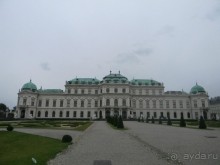 Галопом по Вене. Сентябрь 2013.