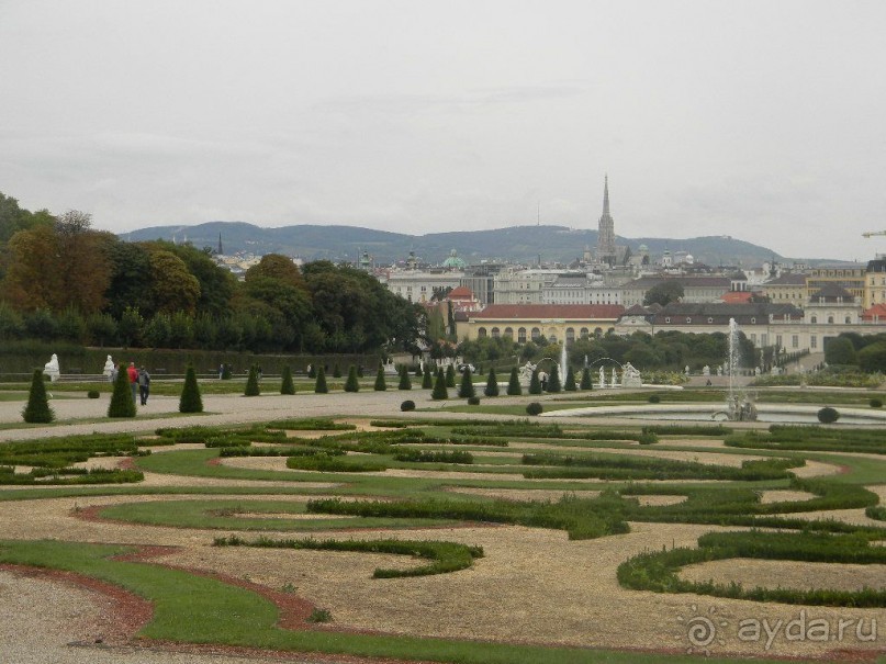 Галопом по Вене. Сентябрь 2013.