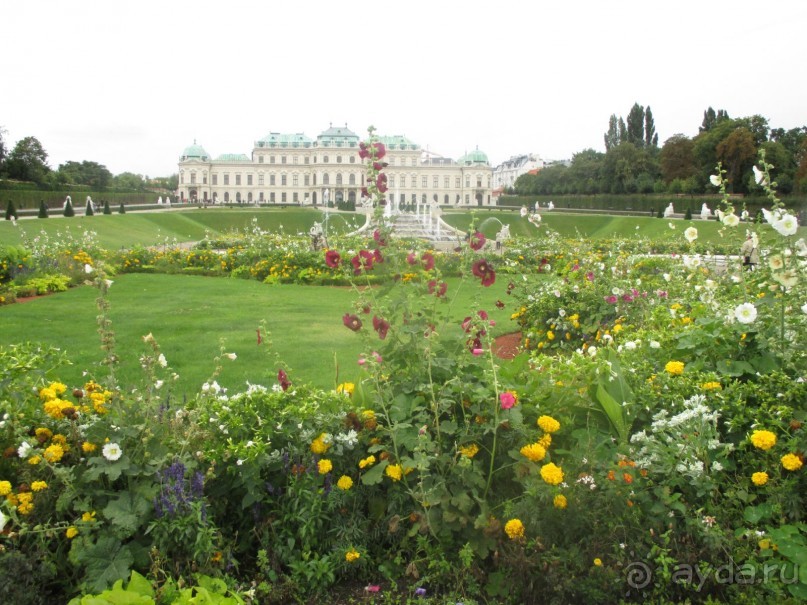 Галопом по Вене. Сентябрь 2013.