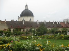 Галопом по Вене. Сентябрь 2013.