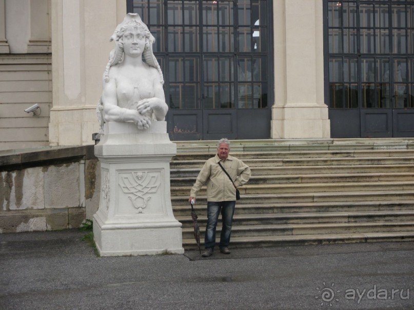 Галопом по Вене. Сентябрь 2013.