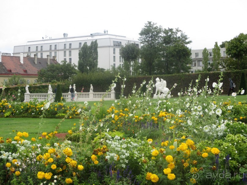 Галопом по Вене. Сентябрь 2013.