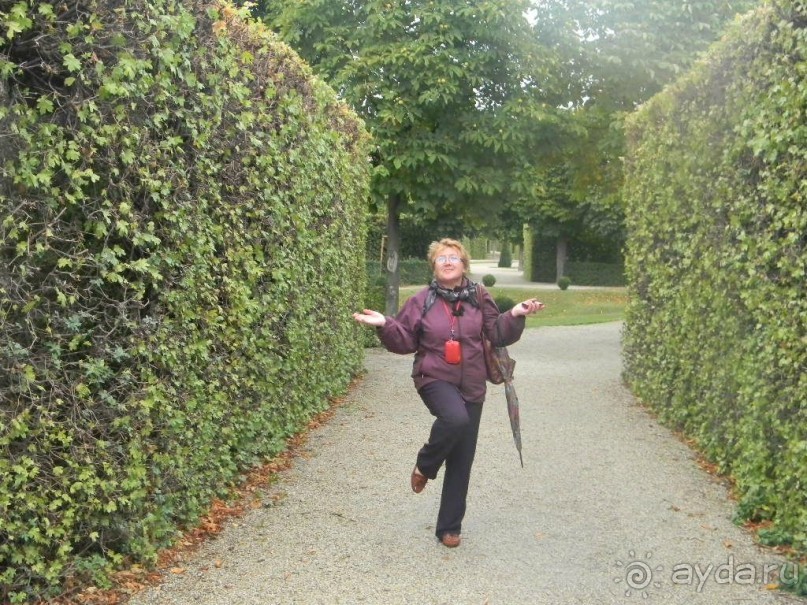 Галопом по Вене. Сентябрь 2013.