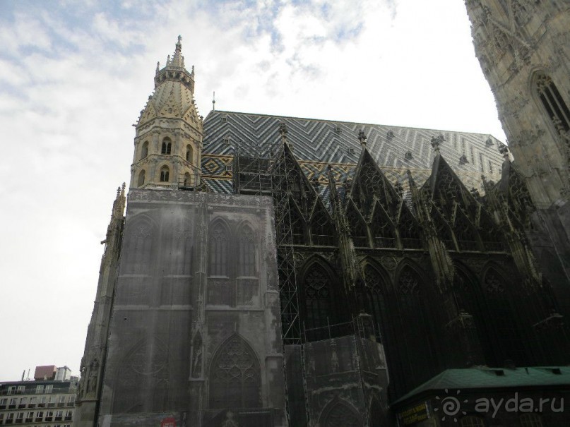 Галопом по Вене. Сентябрь 2013.