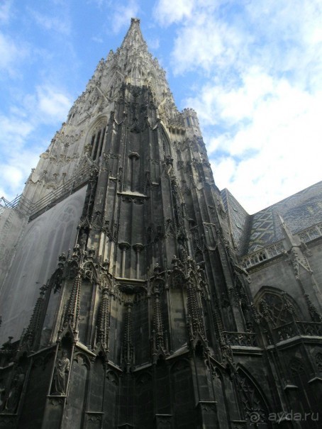 Галопом по Вене. Сентябрь 2013.