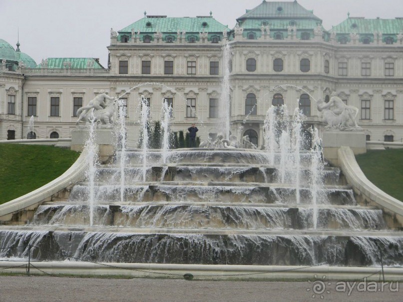 Галопом по Вене. Сентябрь 2013.