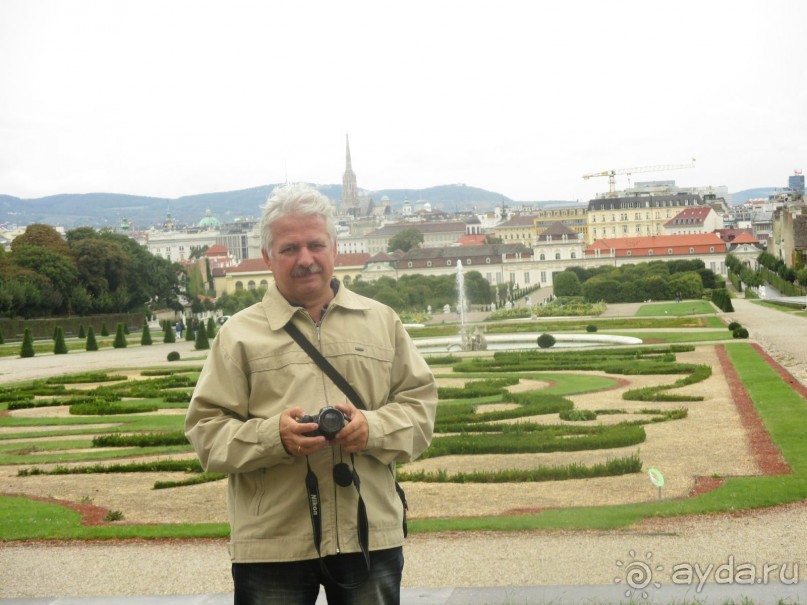 Галопом по Вене. Сентябрь 2013.