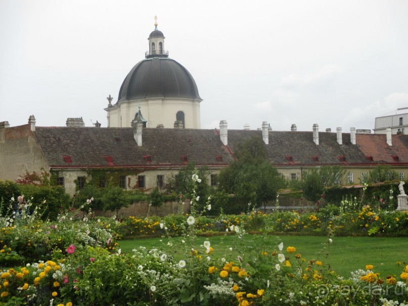 Галопом по Вене. Сентябрь 2013.