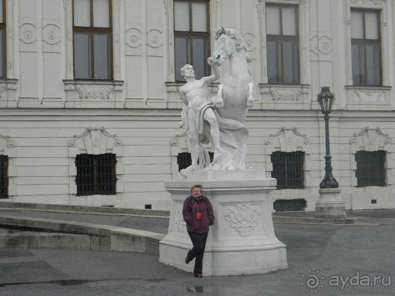 Галопом по Вене. Сентябрь 2013.