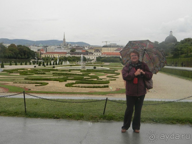 Галопом по Вене. Сентябрь 2013.
