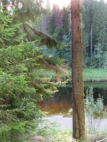 Правильный отдых. На байдарках по Кокшенге.