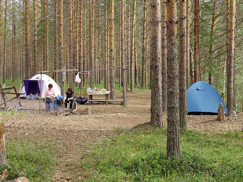 Правильный отдых. На байдарках по Кокшенге.