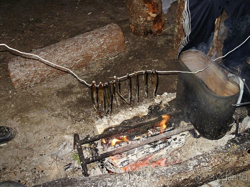 Правильный отдых. На байдарках по Кокшенге.