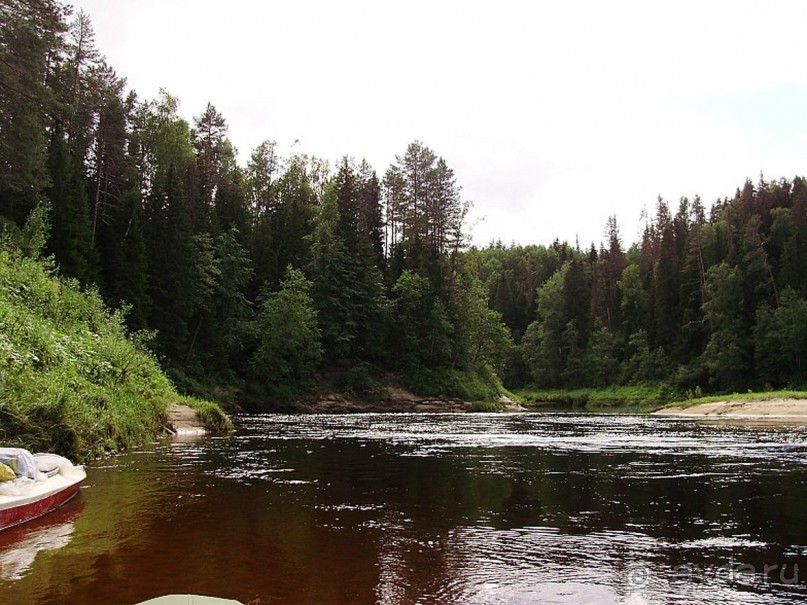 Правильный отдых. На байдарках по Кокшенге.