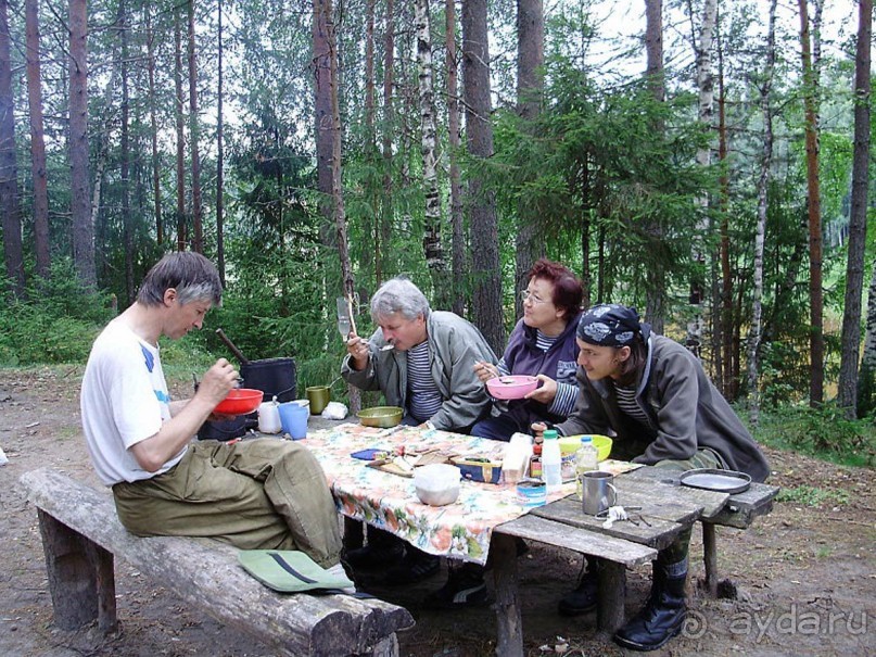 Правильный отдых. На байдарках по Кокшенге.