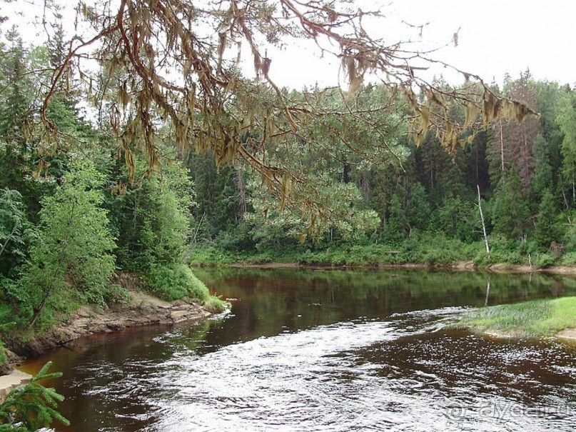 Правильный отдых. На байдарках по Кокшенге.