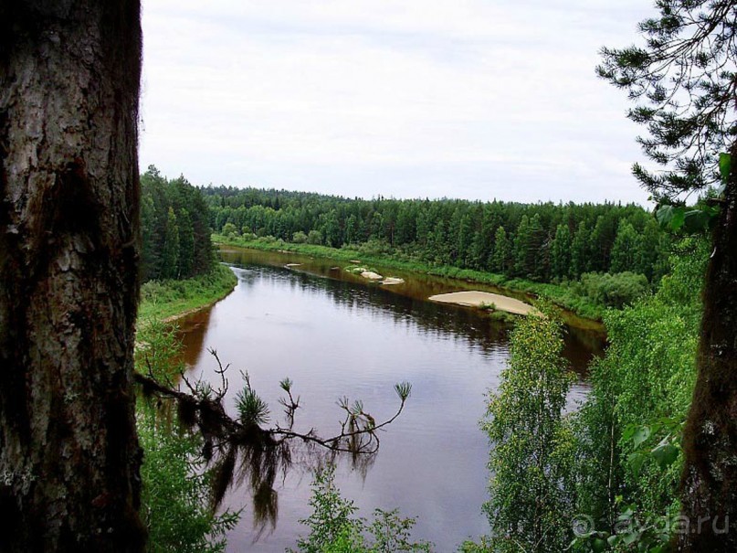 Правильный отдых. На байдарках по Кокшенге.