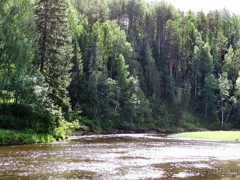 Правильный отдых. На байдарках по Кокшенге.