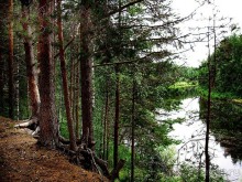 Правильный отдых. На байдарках по Кокшенге.