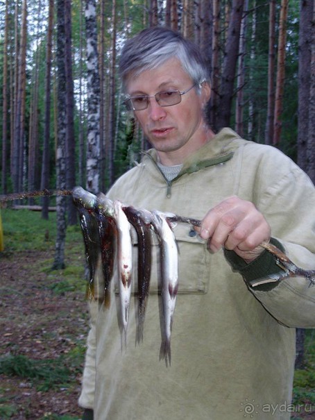 Правильный отдых. На байдарках по Кокшенге.