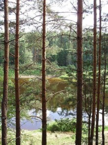 Правильный отдых. На байдарках по Кокшенге.