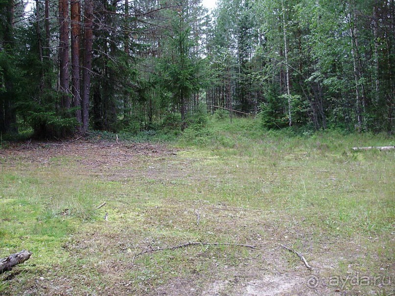 Правильный отдых. На байдарках по Кокшенге.