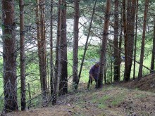 Правильный отдых. На байдарках по Кокшенге.