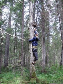 Правильный отдых. На байдарках по Кокшенге.