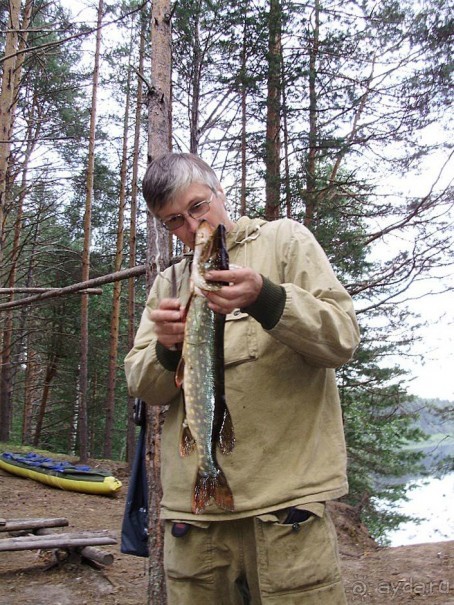 Правильный отдых. На байдарках по Кокшенге.