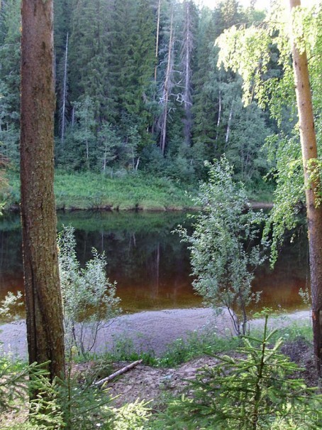 Правильный отдых. На байдарках по Кокшенге.