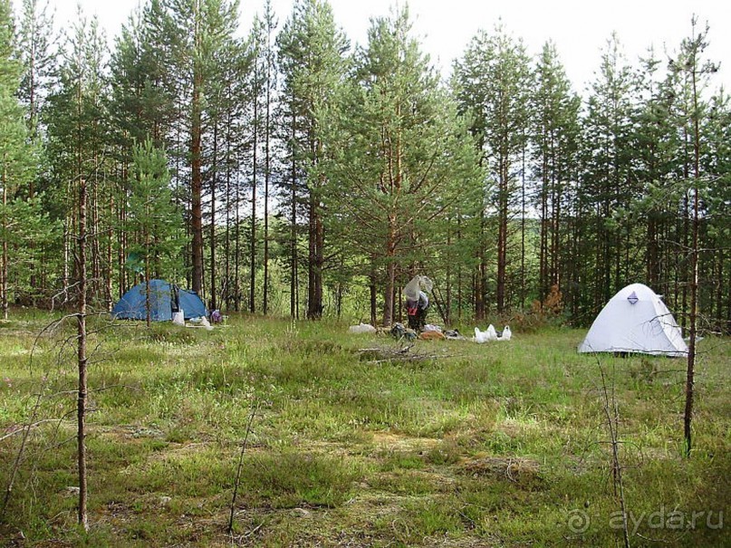 Правильный отдых. На байдарках по Кокшенге.