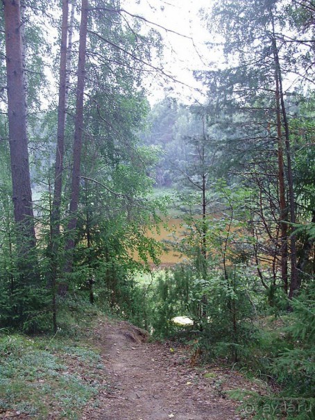 Правильный отдых. На байдарках по Кокшенге.