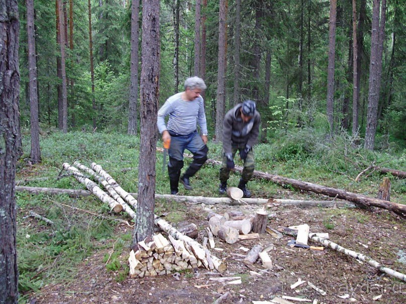 Правильный отдых. На байдарках по Кокшенге. Правильный отдых. На байдарках по Кокшенге.