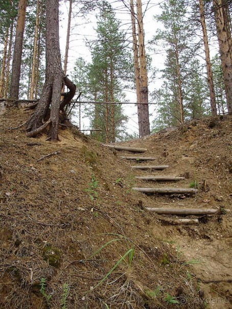 Правильный отдых. На байдарках по Кокшенге.