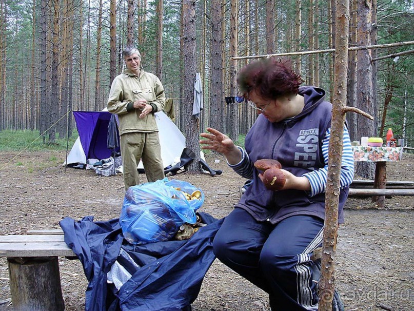 Правильный отдых. На байдарках по Кокшенге.