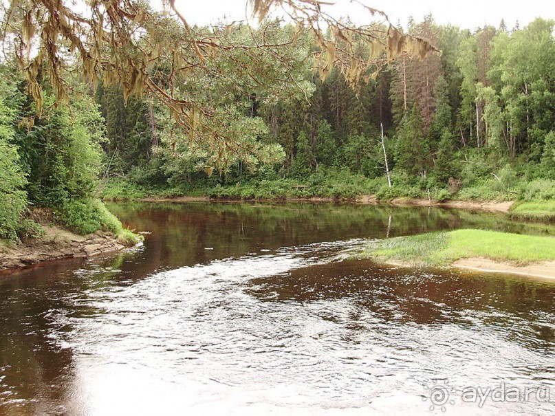 Правильный отдых. На байдарках по Кокшенге.
