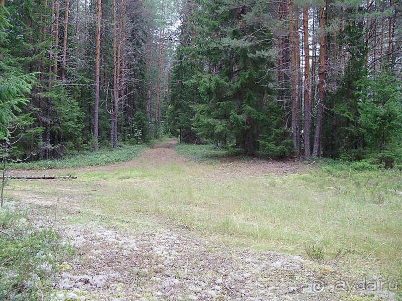 Правильный отдых. На байдарках по Кокшенге.