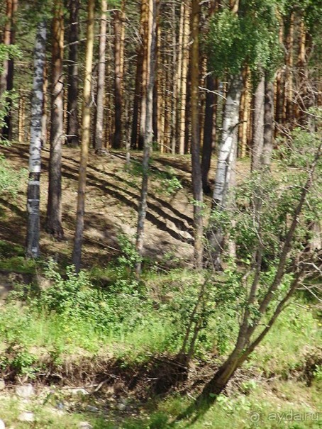 Правильный отдых. На байдарках по Кокшенге.