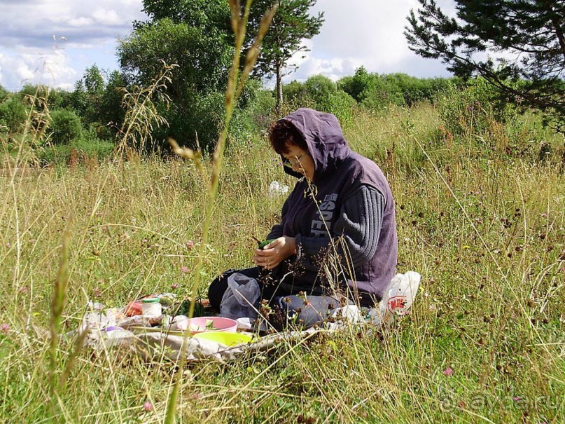 Правильный отдых. На байдарках по Кокшенге.