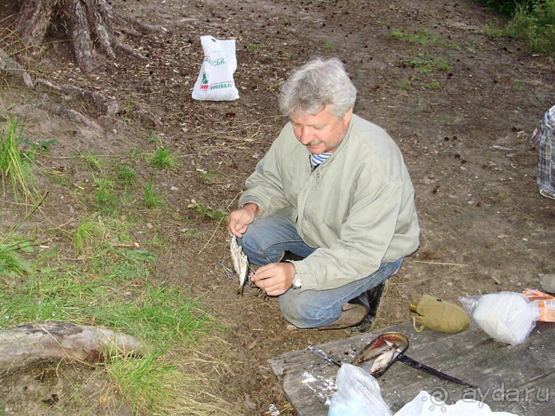 Правильный отдых. На байдарках по Кокшенге.