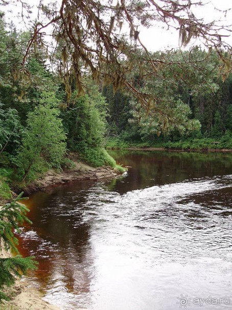 Правильный отдых. На байдарках по Кокшенге.