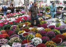 Это- для дам!