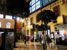 Железнодорожный транспорт в Провансе удобен и пользуется популярностью, особенно у той категории граждан, которая более всего ценит время и комфорт