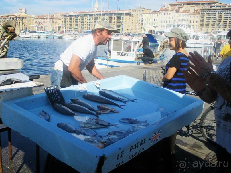 Начало работы рынка около 8 утра, закрытие около 11.  Владельцы кафе, ресторанов и простые домохозяйки спешат на рынок за свежими морепродуктами.